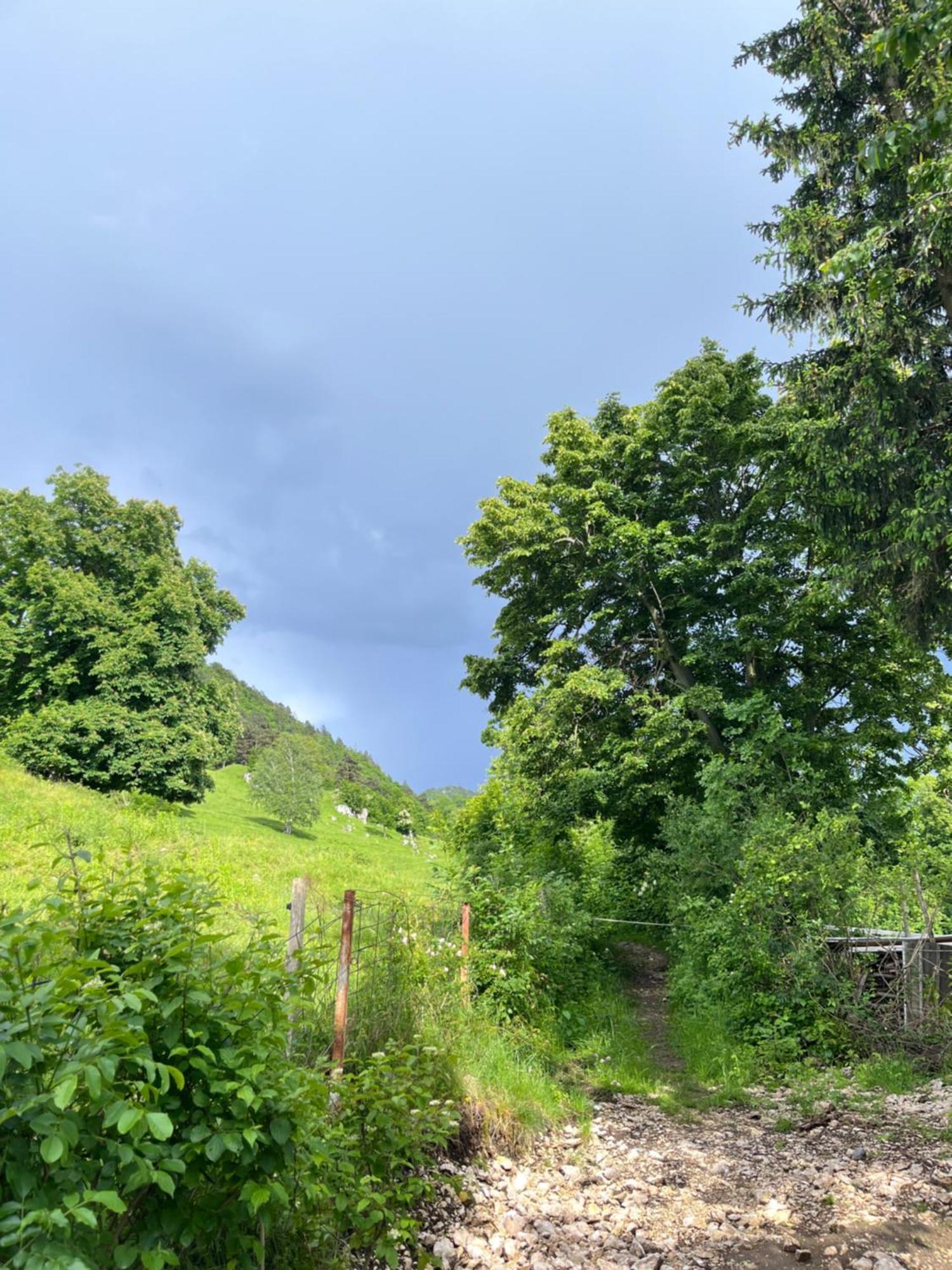 Cottage Zirovnica Exteriér fotografie